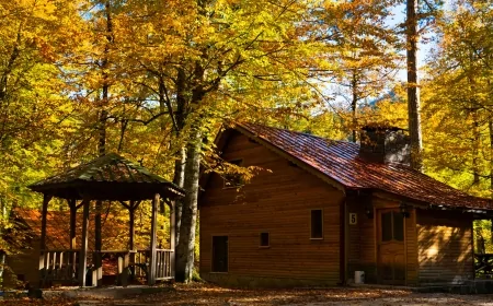Kalabalıktan Kaçış Başladı: 2025 Yazında Doğa, İzolasyon ve Sadelik Ön Planda