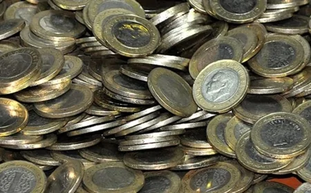 Bozuk Parayla Kitap Kiralama Dönemi Başladı: Sokaklara 'Metal Para Kütüphaneleri' Kuruluyor