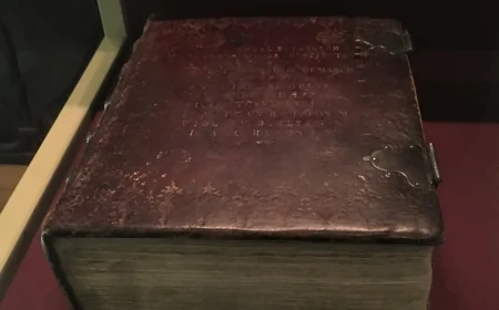 10 Yıldır Kimsenin Açmadığı Kitaplar ‘Kaybolan Eser’ Olarak Raflara Geri Dönüyor