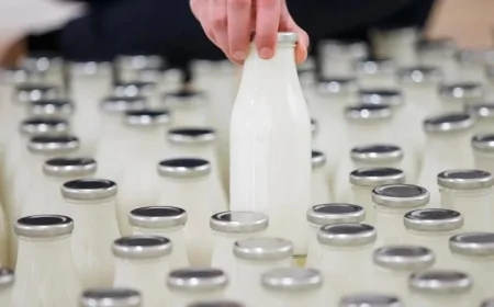 Süt sektöründe dev soruşturma: 56 firmaya rekabet ihlali incelemesi başlatıldı