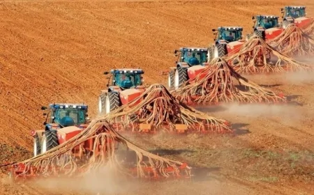 TİGEM 2025’te 230 Bin Ton Sertifikalı Tohumu Çiftçilere Sunacak: İhracat Hedefi de Artıyor