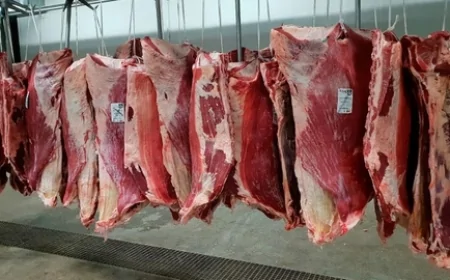 Et ve Süt Kurumu'ndan 11 bin besiciye 545 bin büyükbaş hayvan: Et arzı ve fiyat dengesi için dev adım