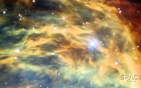 Yılan Saçlı Kozmik Hayalet: Medusa Bulutsusu Evrendeki Son Dönüşümünü Sergiliyor