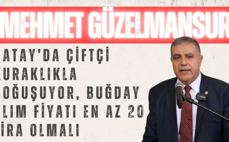 CHP'li Mehmet Güzelmansur: 'Hatay’da Çiftçi Kuraklıkla Boğuşuyor, Buğday Alım Fiyatı En Az 20 Lira Olmalı'