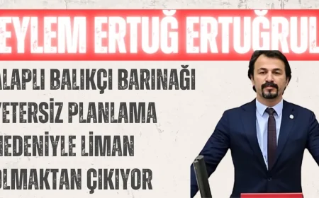 CHP’li Eylem Ertuğ Ertuğrul: ‘Alaplı Balıkçı Barınağı Yetersiz Planlama Nedeniyle Liman Olmaktan Çıkıyor’