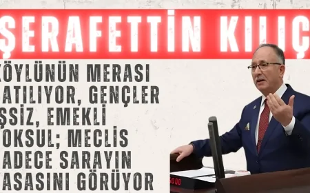 Saadet Partili Şerafettin Kılıç: “Köylünün Merası Satılıyor, Gençler İşsiz, Emekli Yoksul; Meclis Sadece Sarayın Yasasını Görüyor”