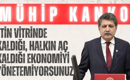 CHP’li Prof. Dr. Mühip Kanko: ‘Etin Vitrinde Kaldığı, Halkın Aç Kaldığı Ekonomiyi Yönetemiyorsunuz’