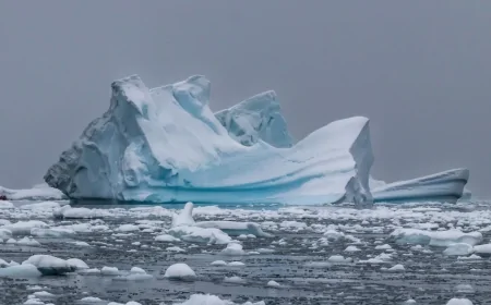Zenginlerin iklim faturası ağırlaştı: Küresel ısınmanın üçte ikisinden yalnızca yüzde 10’luk kesim sorumlu