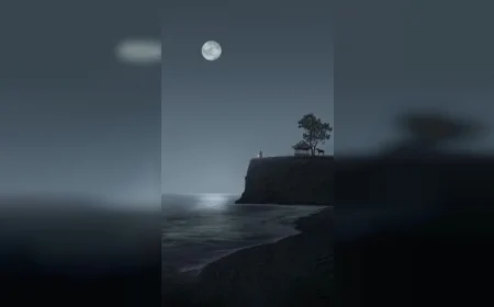 Sessizliğin İçinde Yalnız Bir Figür: Ay Işığında Falez Üzerinde Dikkat Çeken Manzara