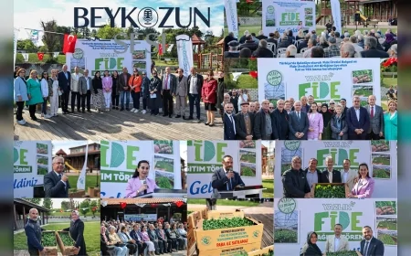 Beykoz Belediyesi’nden Çiftçiye Dev Destek: 1 Milyon 50 Bin Yazlık Fide Ücretsiz Dağıtıldı