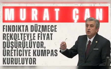CHP’li Murat Çan: ‘Fındıkta düzmece rekolteyle fiyat düşürülüyor, üreticiye kumpas kuruluyor’