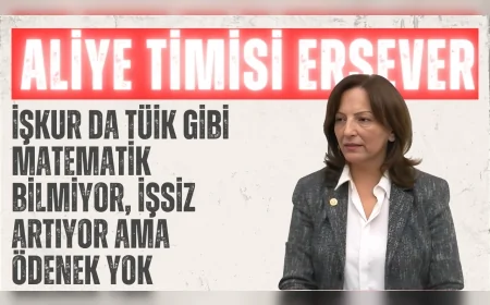 CHP’li Aliye Timisi Ersever: ‘İŞKUR da TÜİK gibi matematik bilmiyor, işsiz artıyor ama ödenek yok’