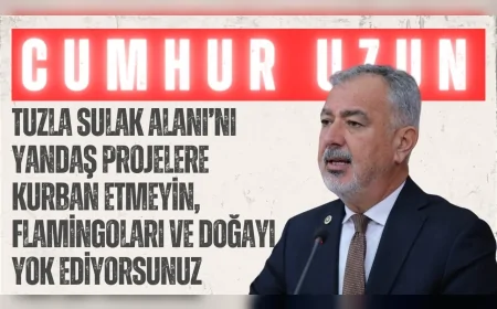 CHP’li Cumhur Uzun: ‘Tuzla Sulak Alanı’nı yandaş projelere kurban etmeyin, flamingoları ve doğayı yok ediyorsunuz’