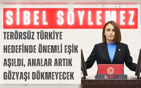 AK Parti’li Söylemez: 'Terörsüz Türkiye hedefinde önemli eşik aşıldı, analar artık gözyaşı dökmeyecek'
