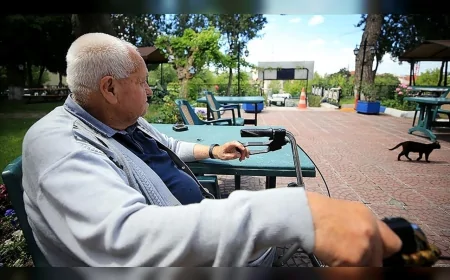 Sinop’ta her 4 haneden birinde tek kişi yaşıyor: Yaşlı nüfusta rekor artış