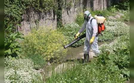 Kdz. Ereğli’de sivrisinek alarmı: Dere yatakları ve sulak alanlar ilaçlanıyor