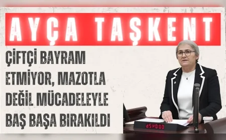 CHP’li Ayça Taşkent: 'Çiftçi bayram etmiyor, mazotla değil mücadeleyle baş başa bırakıldı'