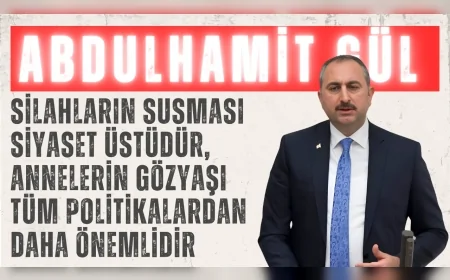 AK Parti’li Abdulhamit Gül: ‘Silahların susması siyaset üstüdür, annelerin gözyaşı tüm politikalardan daha önemlidir’
