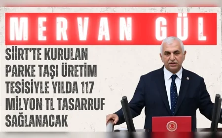 Mervan Gül: ‘Siirt’te kurulan parke taşı üretim tesisiyle yılda 117 milyon TL tasarruf sağlanacak’