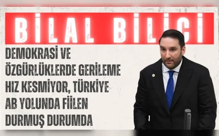 Bilal Bilici: ‘Demokrasi ve özgürlüklerde gerileme hız kesmiyor, Türkiye AB yolunda fiilen durmuş durumda’
