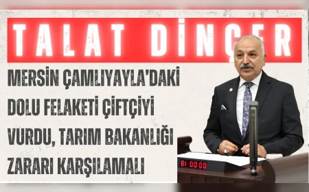 CHP’li Talat Dinçer: 'Mersin Çamlıyayla’daki dolu felaketi çiftçiyi vurdu, Tarım Bakanlığı zararı karşılamalı'