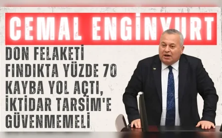 Cemal Enginyurt: 'Don felaketi fındıkta yüzde 70 kayba yol açtı, iktidar TARSİM'e güvenmemeli'
