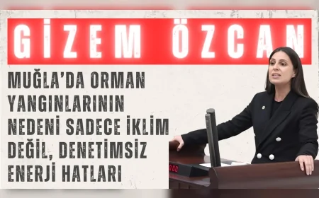 CHP’li Gizem Özcan: 'Muğla’da orman yangınlarının nedeni sadece iklim değil, denetimsiz enerji hatları'