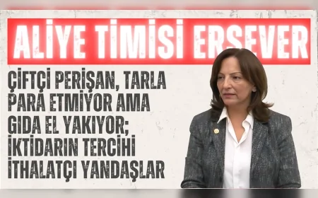 Aliye Timisi Ersever: ‘Çiftçi perişan, tarla para etmiyor ama gıda el yakıyor; iktidarın tercihi ithalatçı yandaşlar’