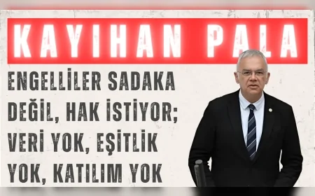 Kayihan Pala: ‘Engelliler sadaka değil, hak istiyor; veri yok, eşitlik yok, katılım yok’