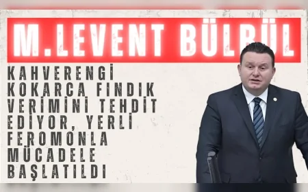 Muhammed Levent Bülbül: 'Kahverengi kokarca fındık verimini tehdit ediyor, yerli feromonla mücadele başlatıldı'