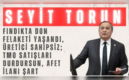 Seyit Torun: ‘Fındıkta don felaketi yaşandı, üretici sahipsiz; TMO satışları durdursun, afet ilanı şart’