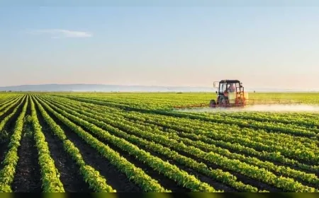 Nisanda Tarımda Fiyatlar Geriledi: Turunçgillerde Aylık Artış Yüzde 29'u Aştı