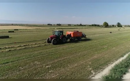5,1 milyar liralık destek bugün çiftçilerin hesabında: Hayvancılıktan arıcılığa tüm kalemler açıklandı