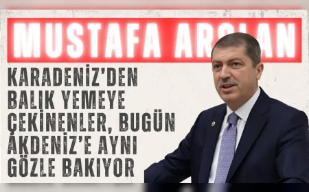 Mustafa Arslan’dan Meclis’te tarihi çağrışım: ‘Karadeniz’den balık yemeye çekinenler, bugün Akdeniz’e aynı gözle bakıyor’