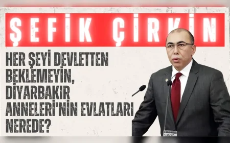 Şefik Çirkin’den kayıplar tartışmasına net çıkış: ‘Her şeyi devletten beklemeyin, Diyarbakır Anneleri'nin evlatları nerede?’