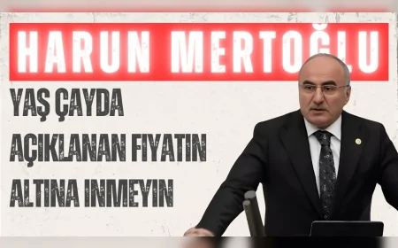 AK Partili Harun Mertoğlu’ndan özel sektöre çağrı: ‘Yaş çayda açıklanan fiyatın altına inmeyin’