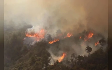 Google'ın FireSat sistemi, orman yangınlarını daha başlamadan yakalayacak uydu ağıyla geliyor
