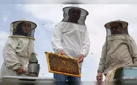 Erzincan’ın yaylalarında bin tonluk üretim: Coğrafi işaretli bal Türkiye’ye dağılıyor