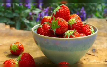 Meyve ve sebzelerin raf ömrünü uzatan pratik yöntemler: Uzun süre taze kalmalarını sağlayın