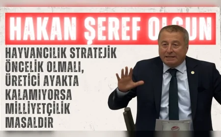 Hakan Şeref Olgun: ‘Hayvancılık stratejik öncelik olmalı, üretici ayakta kalamıyorsa milliyetçilik masaldır’