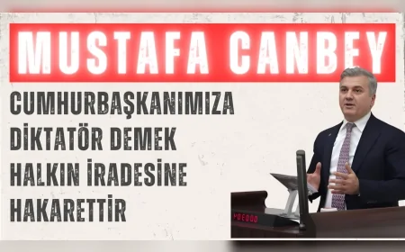AK Parti’li Mustafa Canbey: 'Cumhurbaşkanımıza diktatör demek halkın iradesine hakarettir'