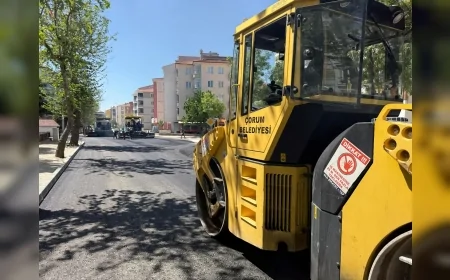 Mahmut Evler Mahallesi 6. Sokak’ta altyapıdan asfalta kadar her şey yenilendi