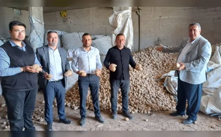 CHP'li Gürer: 'Kilosu 1 liraya satılamayan patates, markette 40 lira'