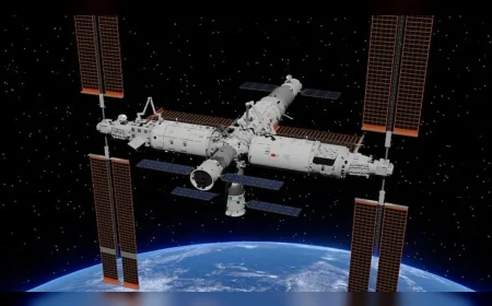 Uzayda Evrim Geçiren Yeni Bakteri Türü Keşfedildi: 'Niallia tiangongensis' Bilim Dünyasını Şaşırttı