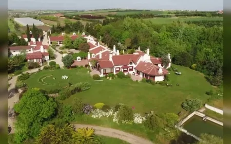 'Aşk-ı Memnu' dizisindeki ünlü çiftlik 135 milyon TL’ye satışa çıkarıldı