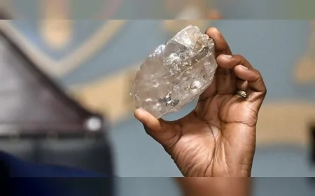 Elmas Devi Botsvana’dan AB’ye Yeşil Dönüşüm ve Yatırım Çağrısı: 'Maden Sektöründe Ciddi Fırsatlar Var'