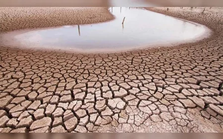Güneydoğu’da Son 20 Yılın En Kurak İlkbaharı: Meteoroloji Kuraklık Alarmı Verdi