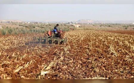 Çiftçiye 5 Milyar Liralık Dev Ödeme Başladı: Destekler Bu Akşam Hesaplara Yatıyor