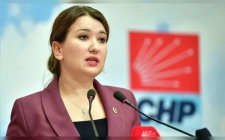 CHP'li Gökçe Gökçen'den Ahmet Özer Davasına Sert Tepki: 'Siyasetçileri Rehin Alarak Barış Kurulmaz'