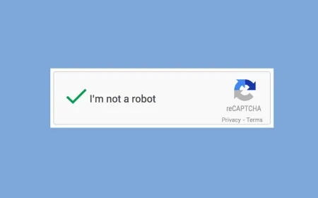 Sitelerde Güvenlik Duvarı: Captcha Uygulamasıyla Botlar Tespit Ediliyor